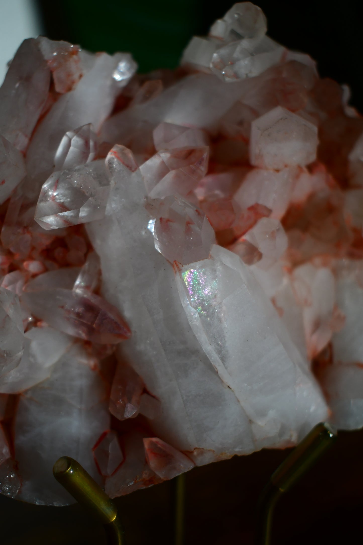 Pink Himalayan Samadhi Quartz Cluster 5