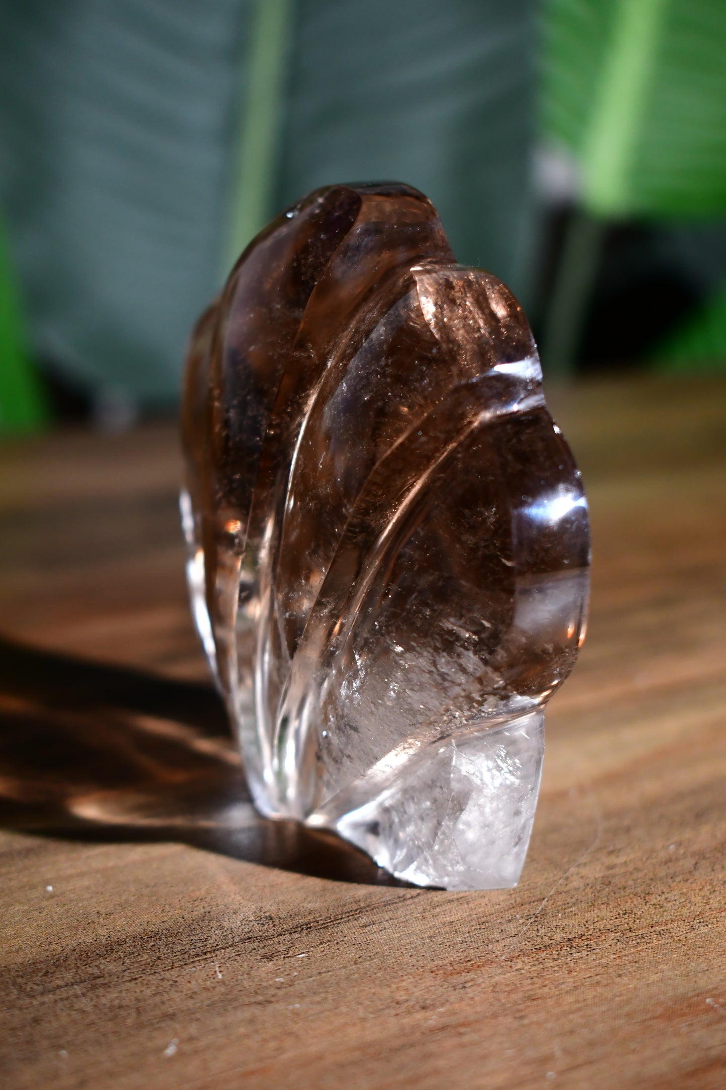 Smoky Quartz Self Standing Sunrise Seashell 02