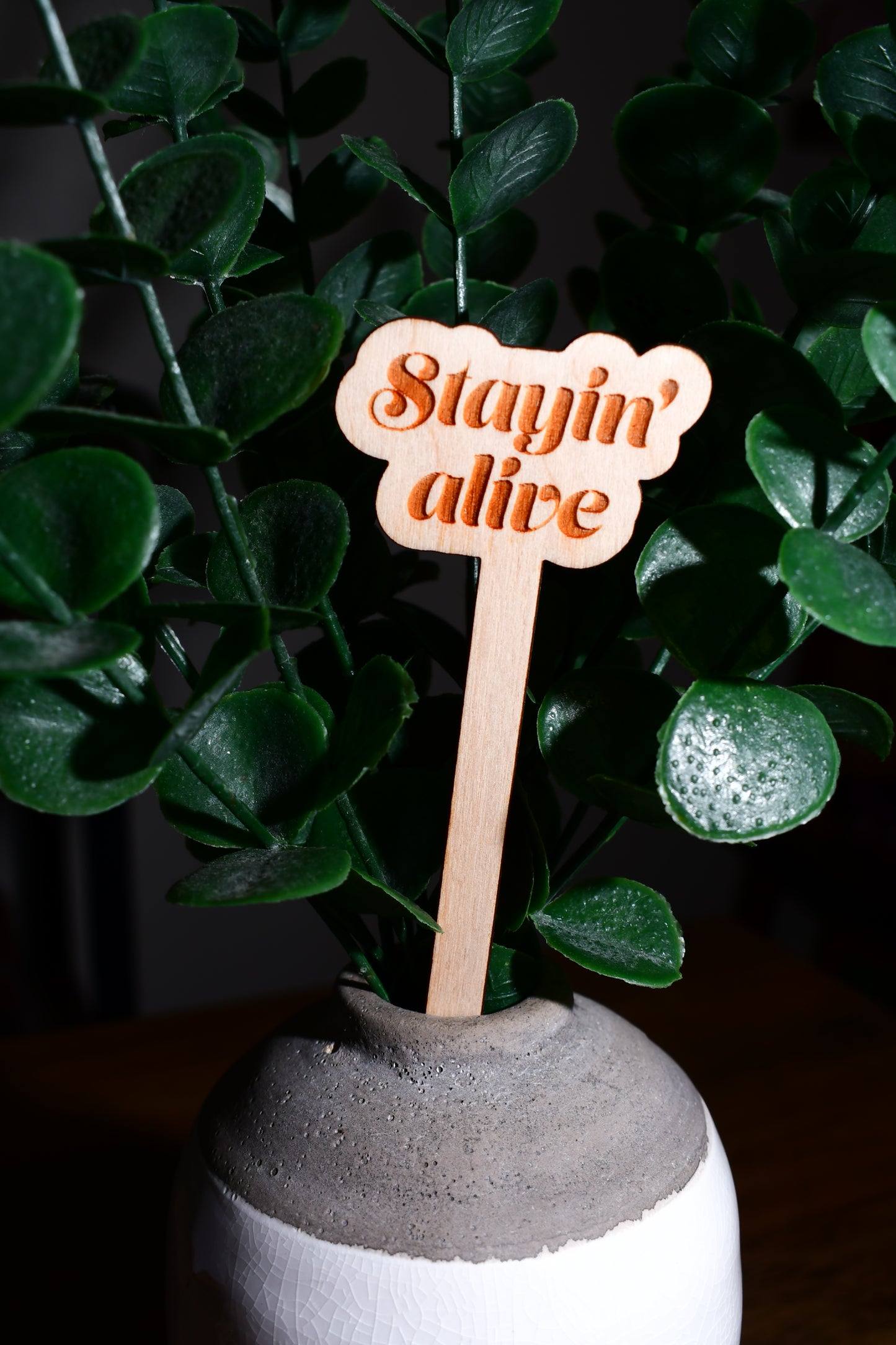 Funny Wooden Plant Markers - "Stayin' Alive"