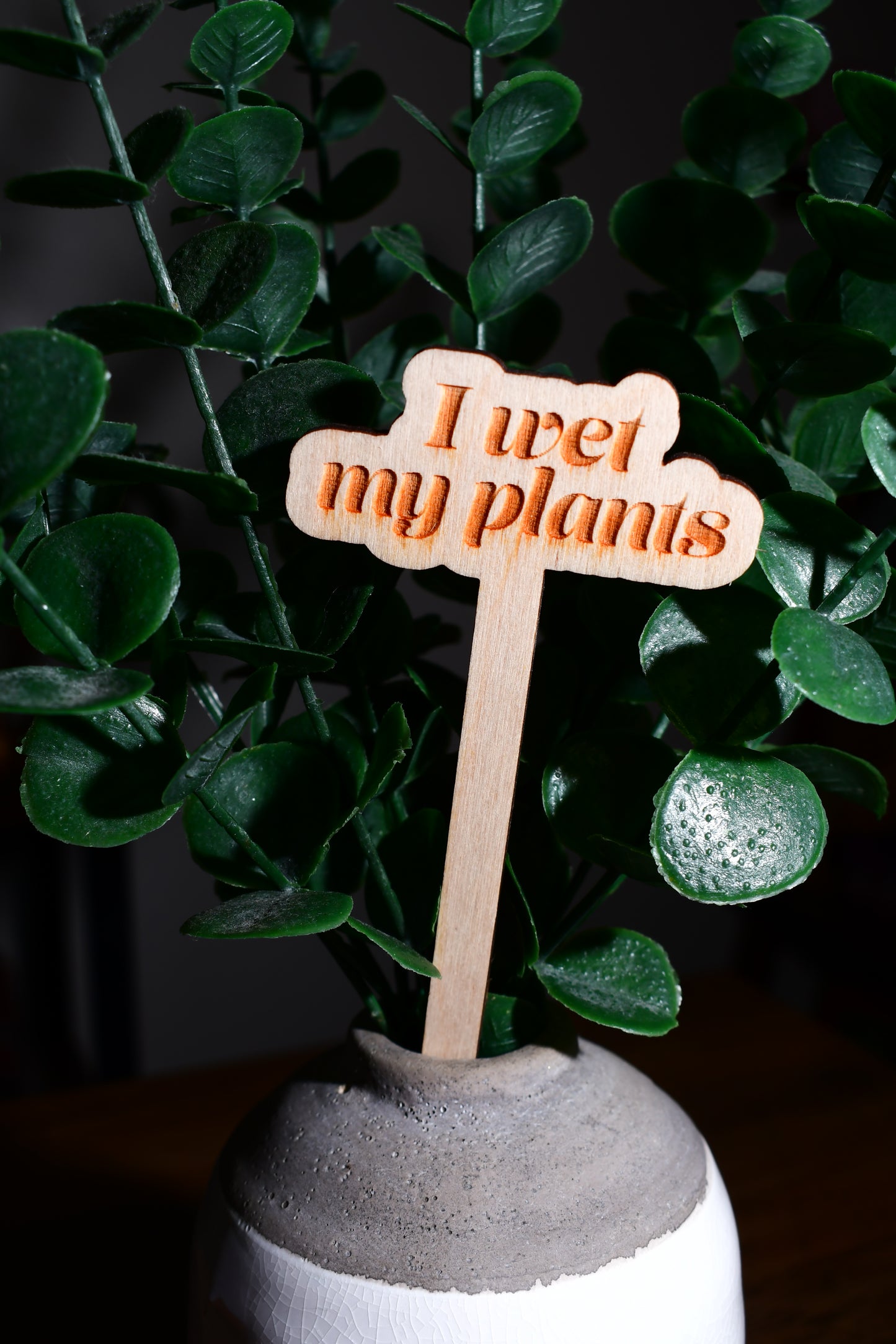 Funny Wooden Plant Marker - "I Wet My Plants"