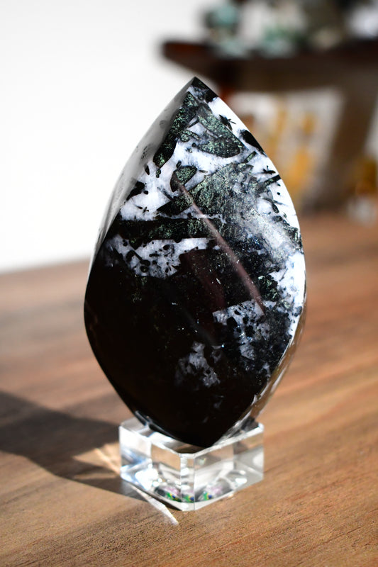 Black Tourmaline in Quartz