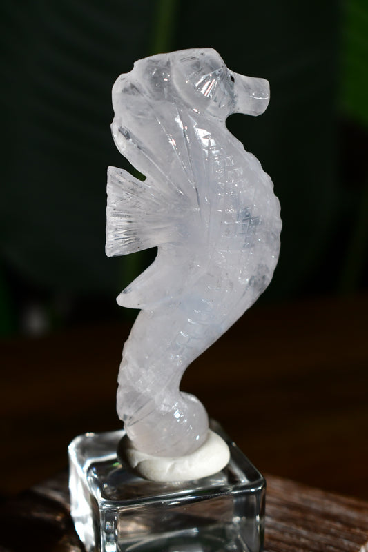 Clear Quartz Girasol Seahorse