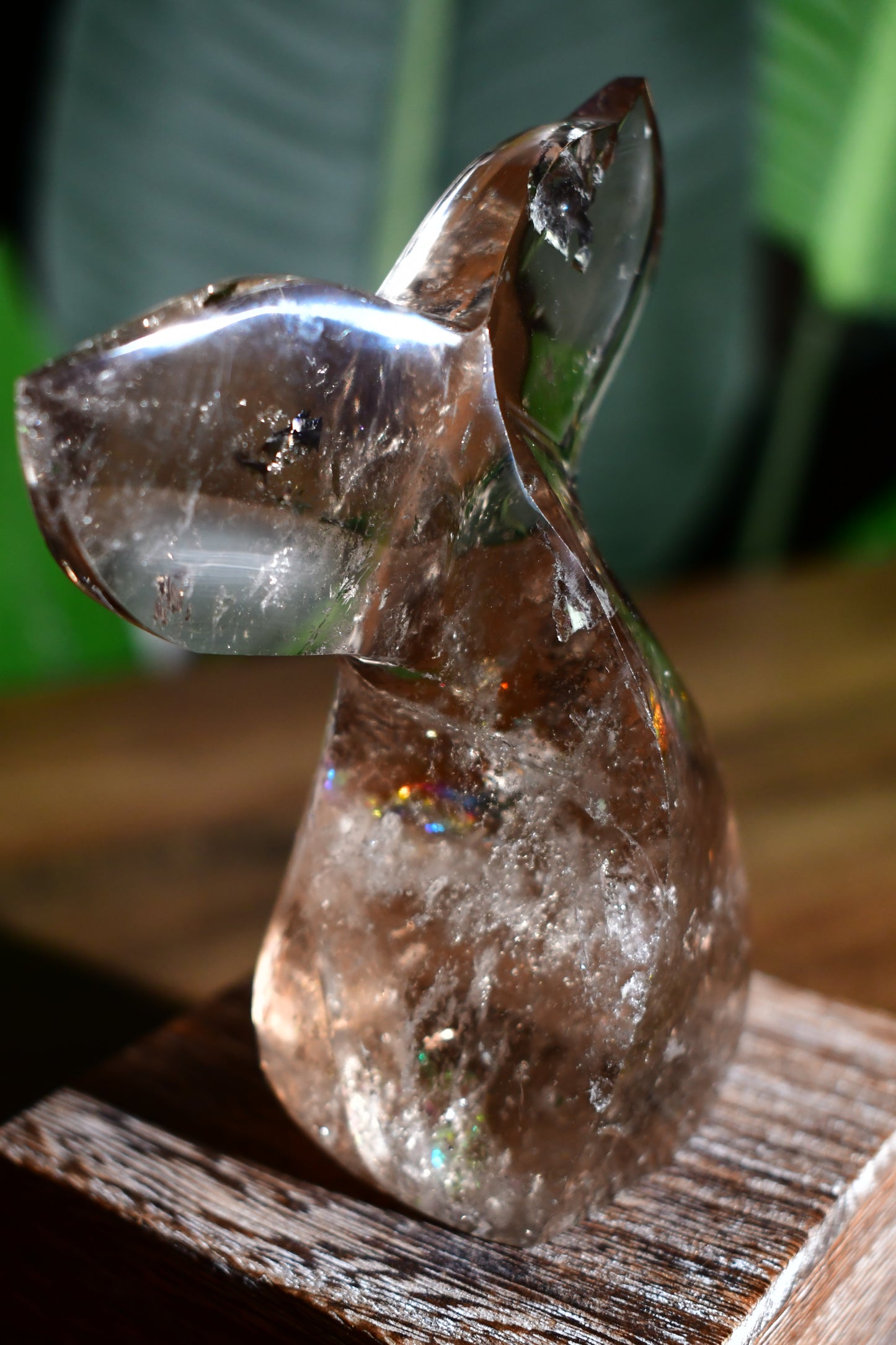 Smoky Quartz Whale Tail Carving 02