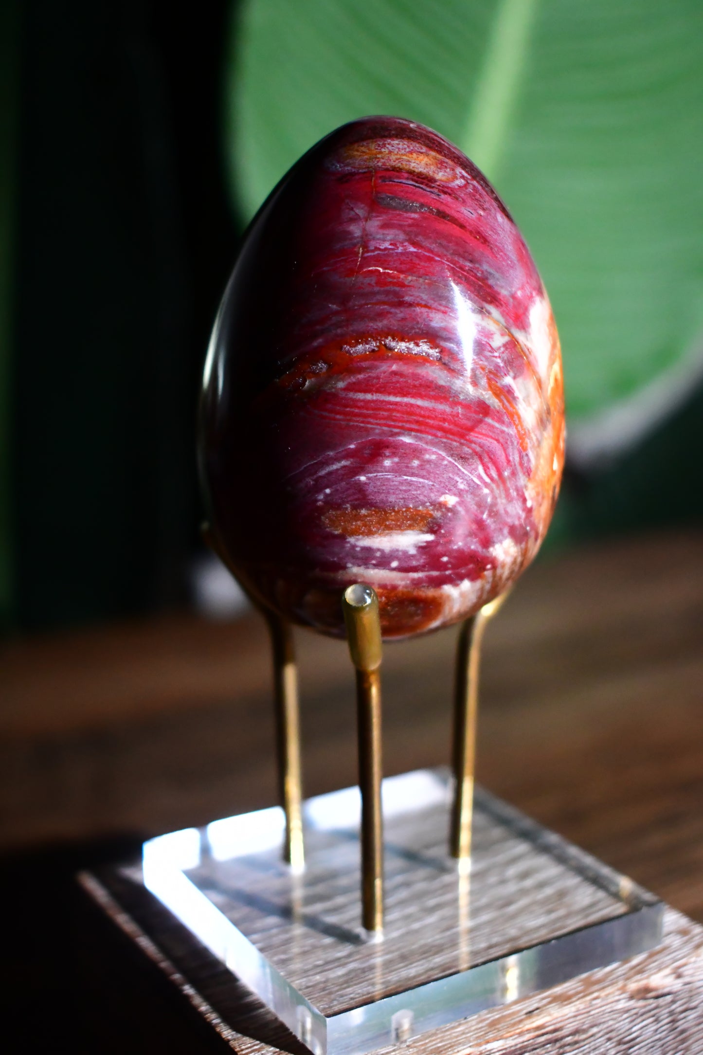 Petrified Wood Egg Carving