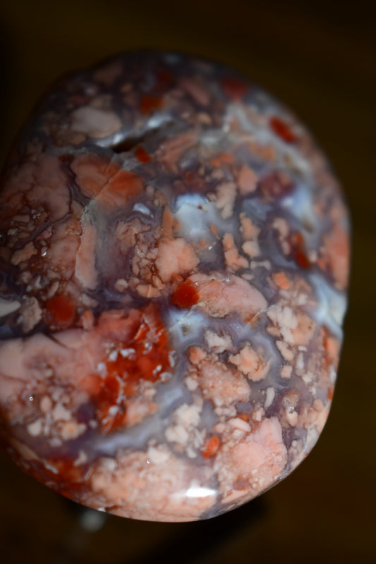 Pink Agate Palm