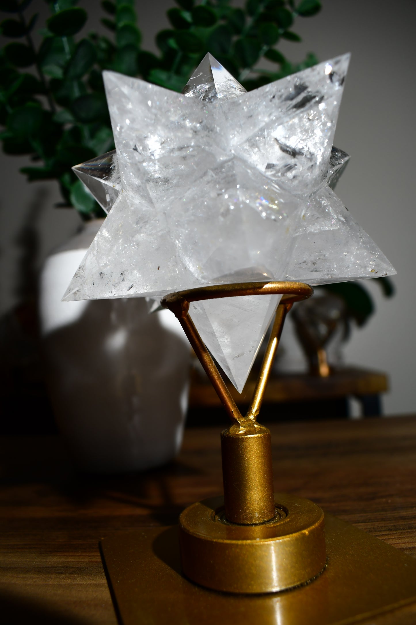 Lemurian Astroid Carving on Spinning Stand