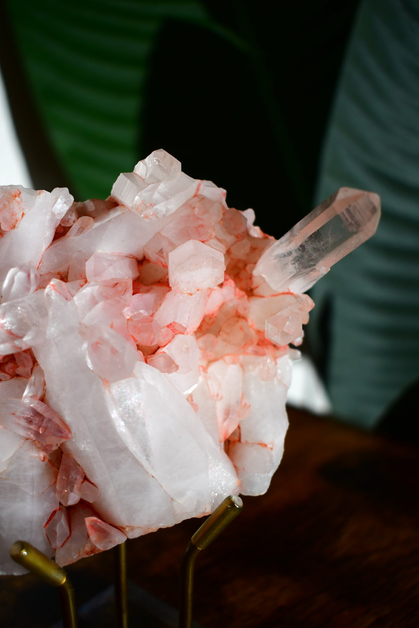 Pink Himalayan Samadhi Quartz Cluster 5