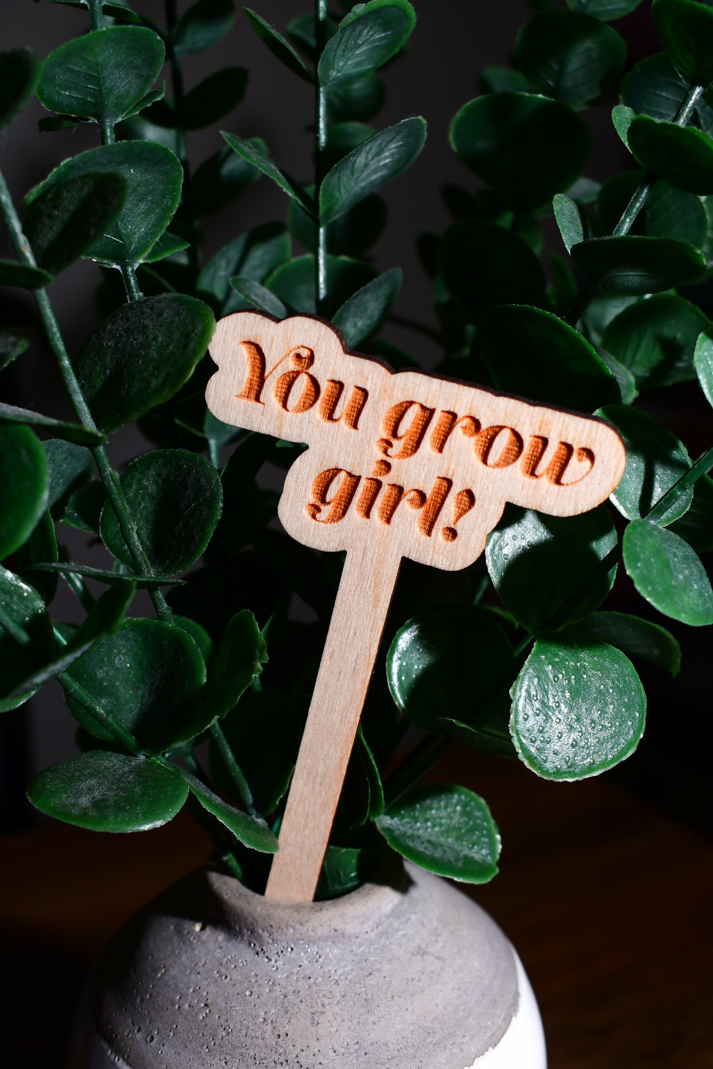 Funny Wooden Plant Marker - "You Grow Girl!"