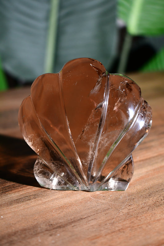 Smoky Quartz Self Standing Sunrise Seashell 01
