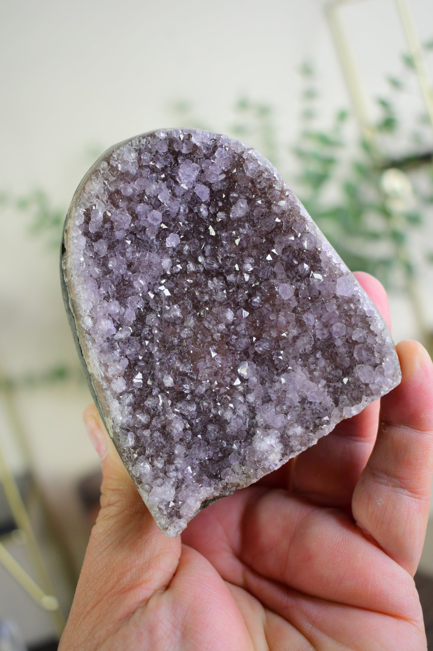 Druzy Amethyst Stalactite Cut Base/ Amethyst/ Calcite High Quality Crystals/ Gifts for Him/ Gifts for Her/ Healing Crystals/ Calming/ Purple