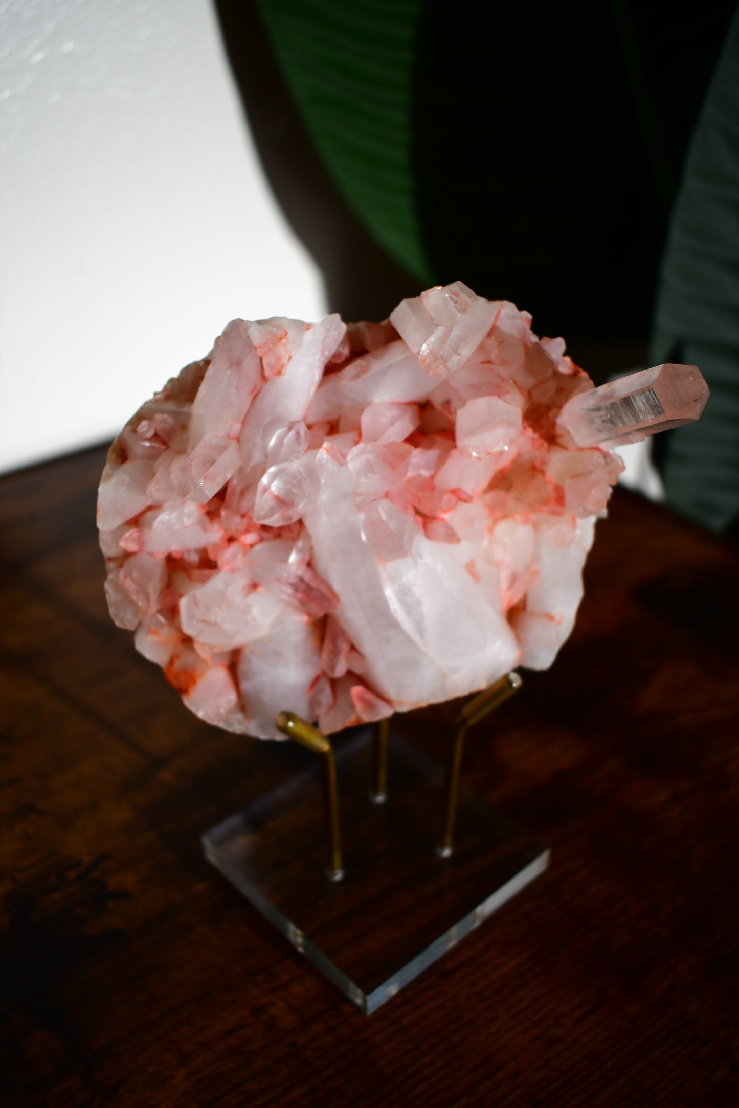 Pink Himalayan Samadhi Quartz Cluster 5