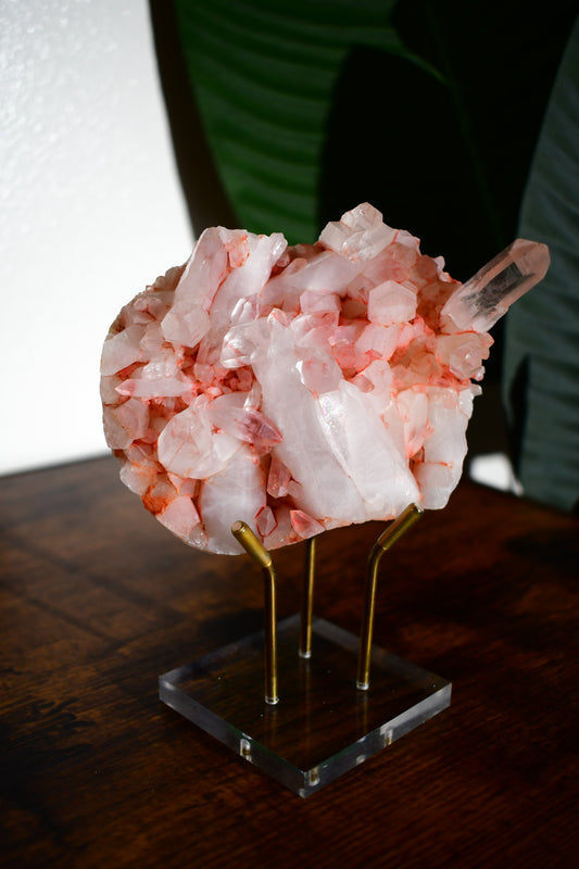 Pink Himalayan Samadhi Quartz Cluster 5