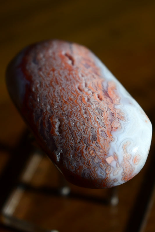 Pink Agate Palm