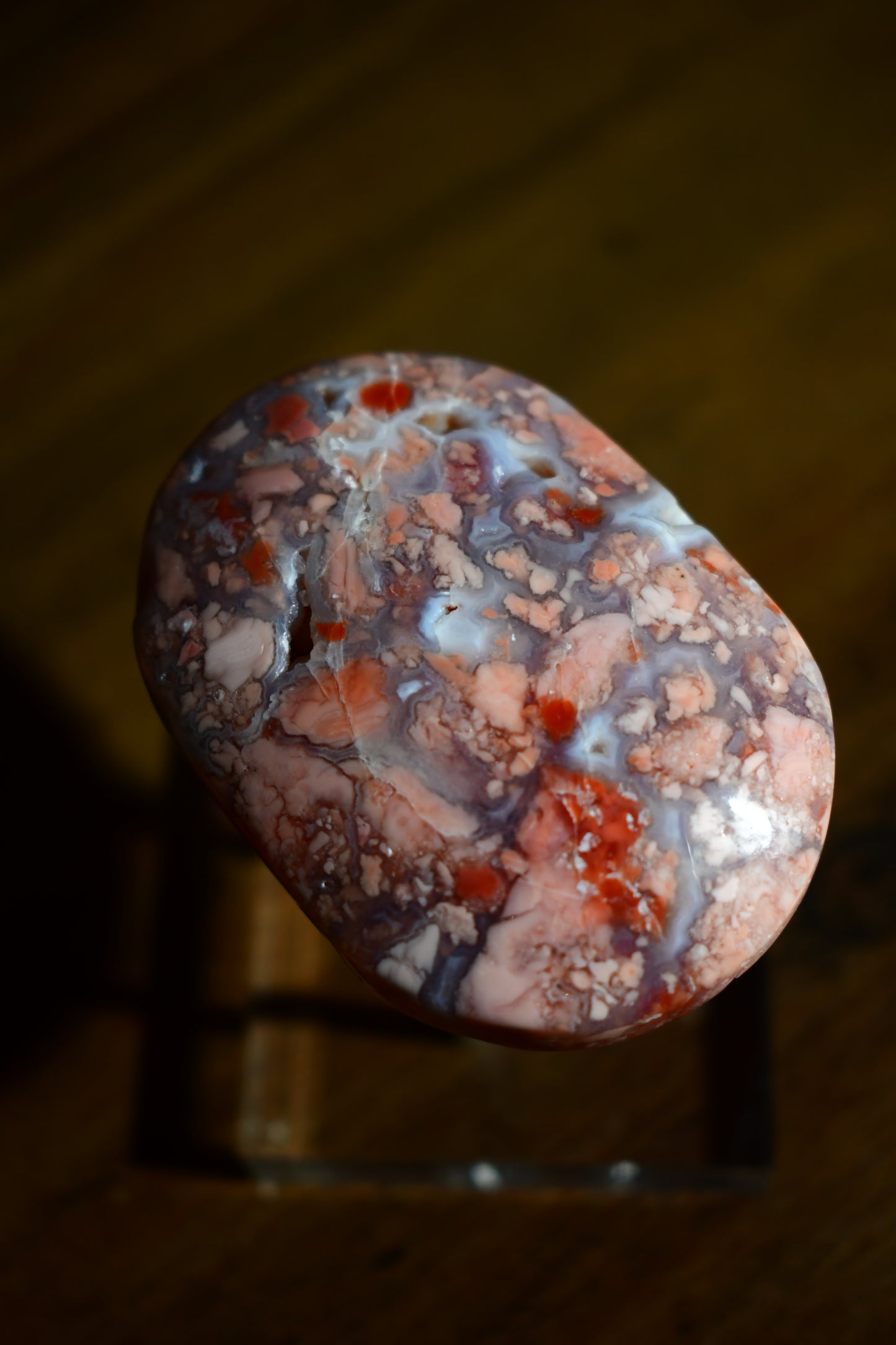 Pink Agate Palm