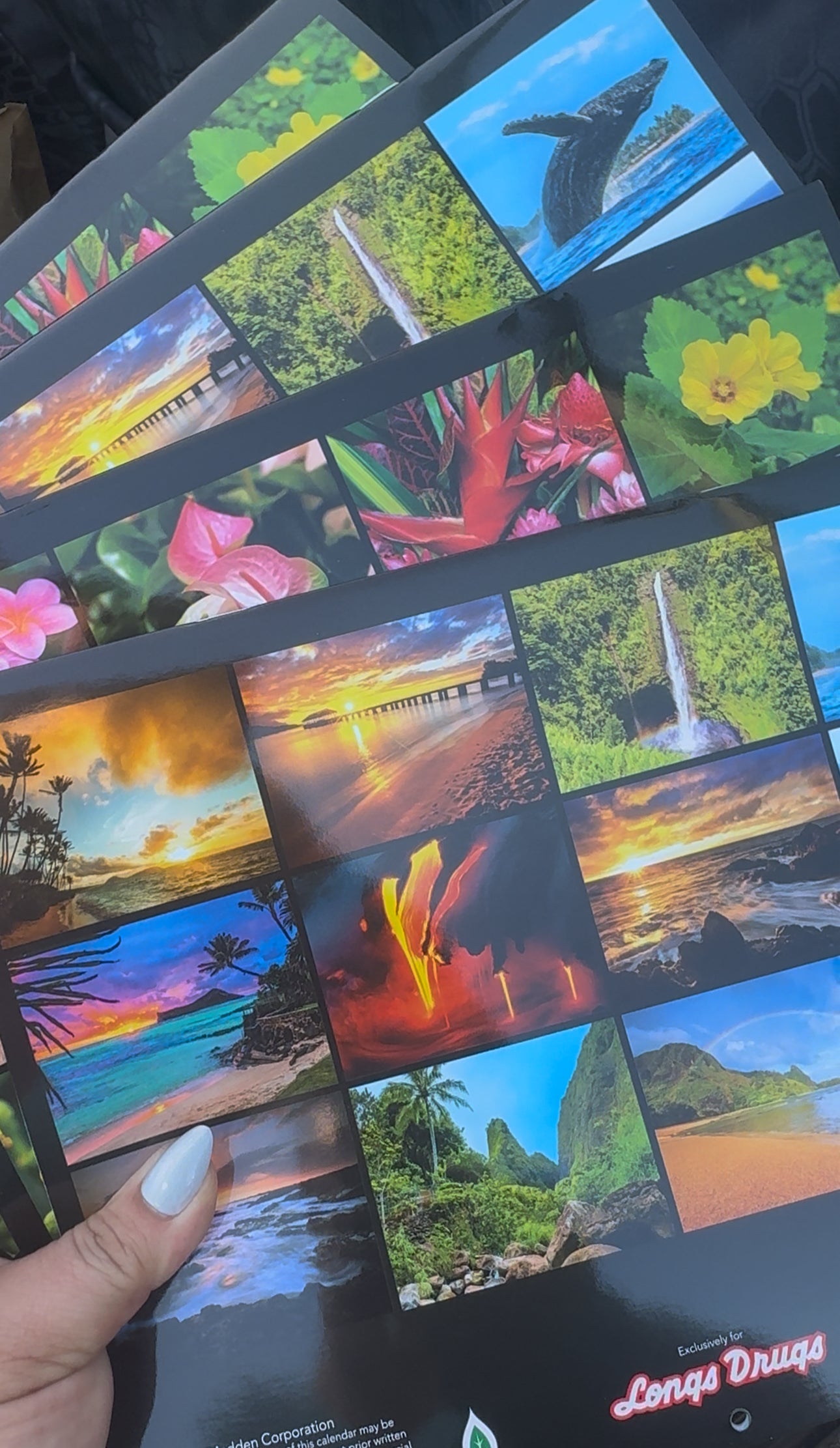 2026 Hawaii Calendar