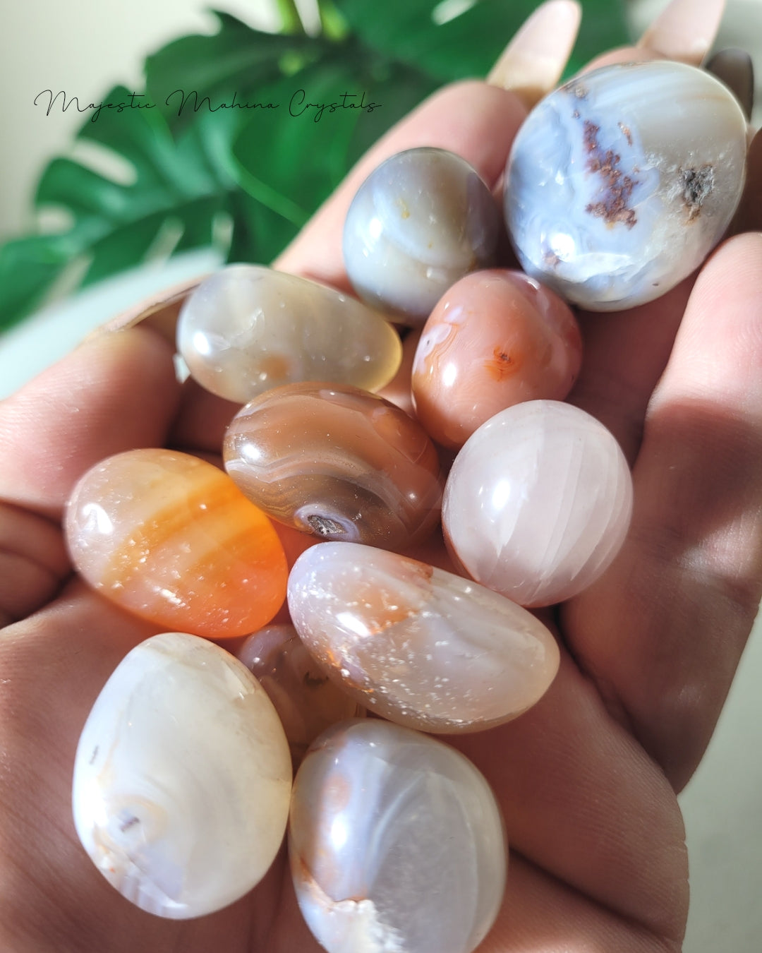 Carnelian Agate Tumbles