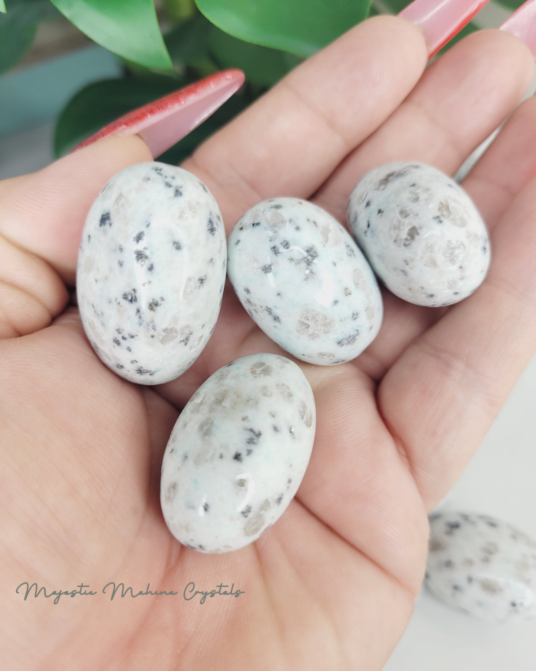 Kiwi Jasper Tumbles/Pocket Stones