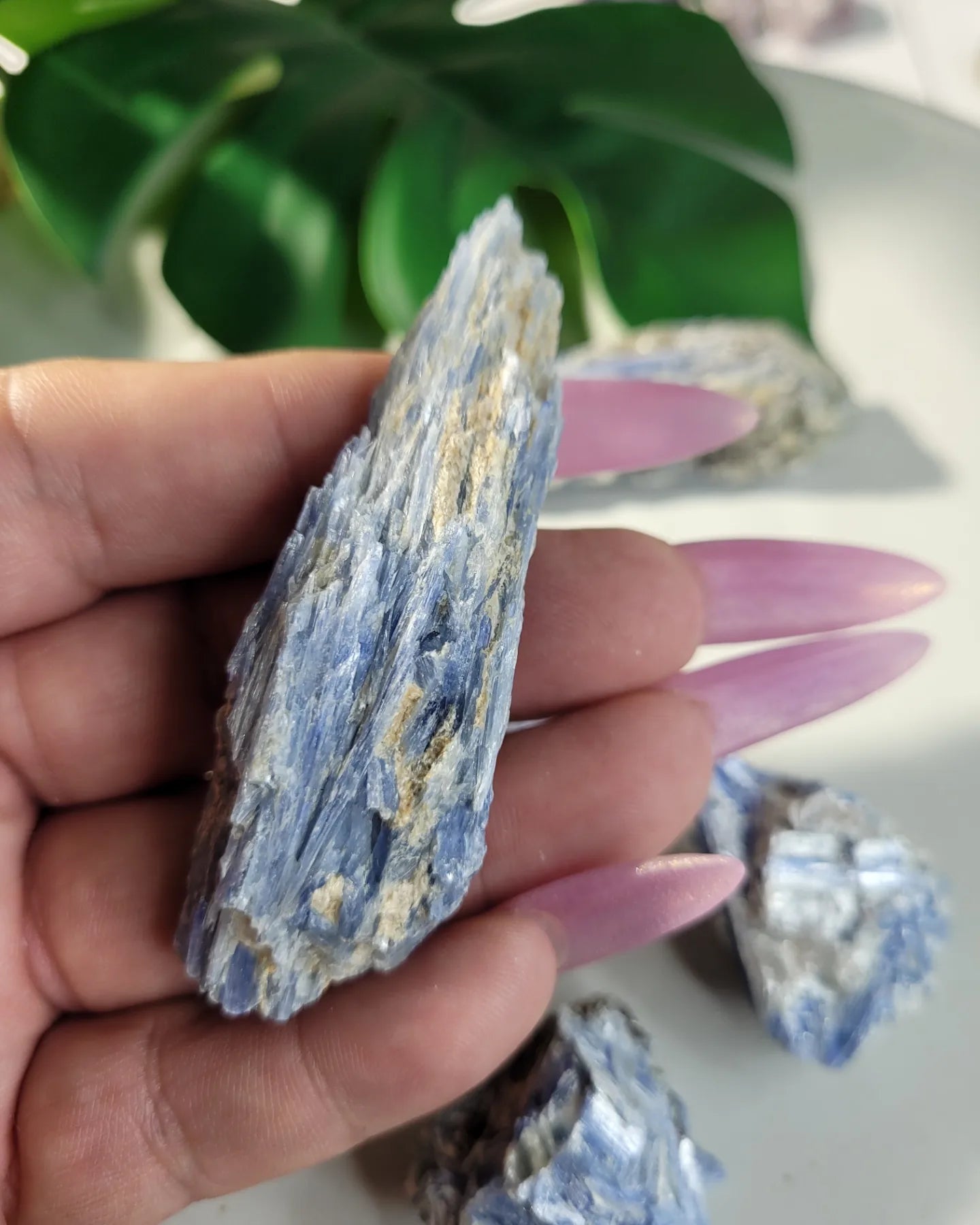Blue Kyanite Specimen
